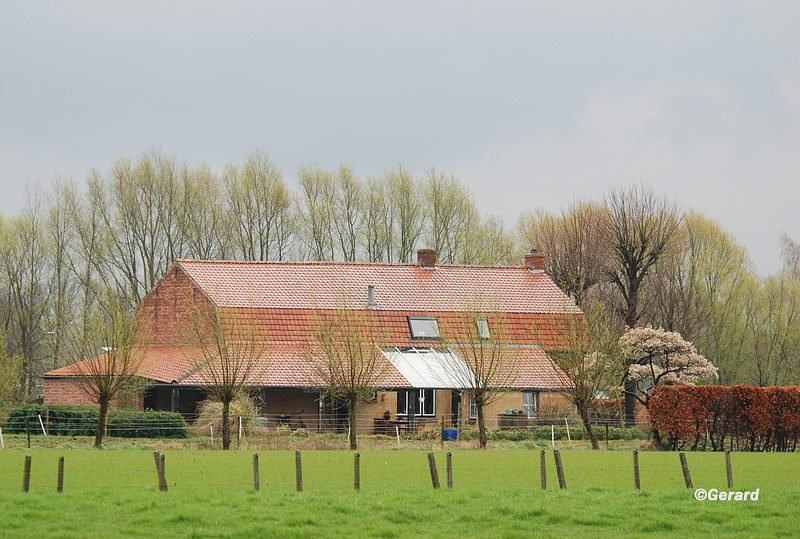 Lente in de Achterhoek.JPG - Lente in de Achterhoek